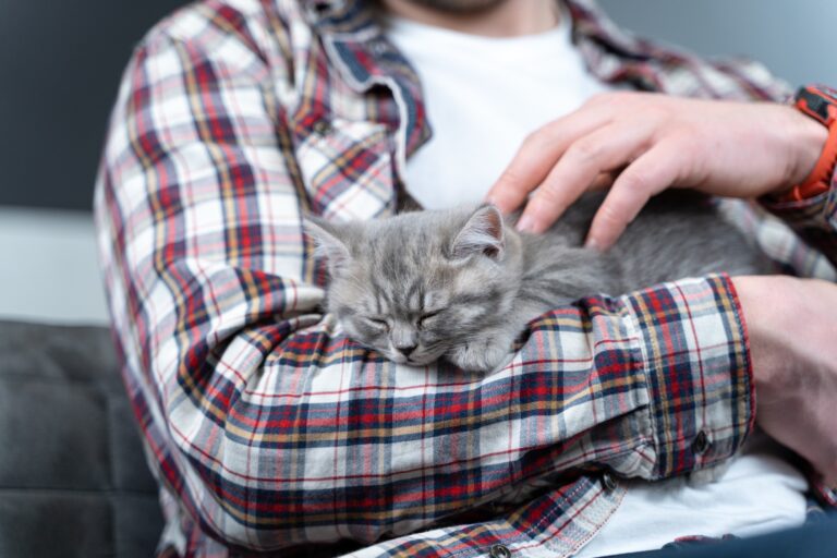 Animalerie : 4 solutions pour faire plaisir à vos animaux de compagnie